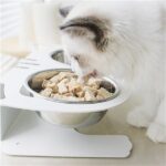 Anti-falling Cat Dog Feeding Water Bowl - Image 4