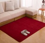 Memory cotton coral velvet carpet Living room bedroom door mats Bathroom kitchen non-slip absorbent carpets - Image 7