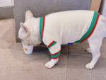 Bichon Schnauzer Cat And Dog Winter Pet Coat - Image 3