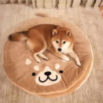Japanese net red creative copper  firewood dog pet nest cartoon short plush round cat dog mat - Image 3
