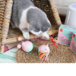 Tumbler pet toy - Image 5