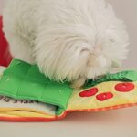 Interactive Sniff Mat Cute Slow Feeder Dog Snuffle Book Interactive Dog Toys Dog Feeding Mat Squeaky Snuffle Mat Puzzle Reducing Boredom Preventing Obesity - Image 5