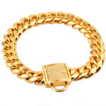 Pet dog collar stainless steel titanium steel gold encryption chain buckle dog chain - Image 5