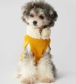 Warm autumn and winter bowknot dog cat clothes - Image 3