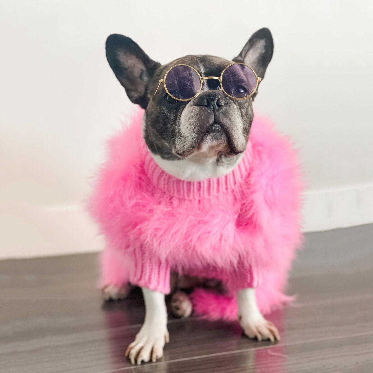 Pet Dog Plush Warm Solid Colour Jumper - Image 1