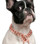 Titanium Steel Metal Hip Hop Pet 15mm Gold Stainless Steel Dog Leash - Image 8