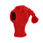Pet Warm Woolen Hat Takes Cute Photos - Image 5