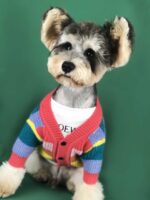 Dog Rainbow Striped Cardigan - Image 4