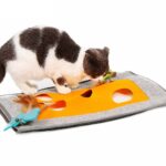 Cat scratching a blanket - Image 5