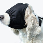 Stable Eye Mask - Image 5