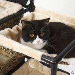 Petsclimbing sisal ropelittersupplies multi-purposestand pet supplies combination nest - Image 5