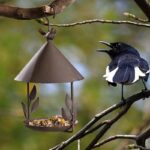 American made old wrought iron bird feeder - Image 4