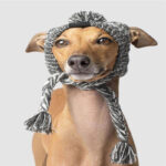 Pet dog autumn and winter woolen hat - Image 3