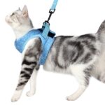 Vest-style Chest Strap Explosion-proof Slip Cat Rope - Image 2