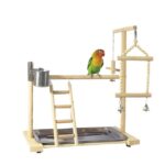 Wooden Small Cockatiel Floor Parrot Standing Stand - Image 3