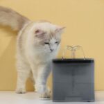 Automatic circulation of filter element of pet water dispenser - Image 3
