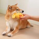 Animals Shape Squeaky Toys Plush Dog Toy Cute Bite Resistant PP Cotton Dog Toys For Small Large Dogs Puppy Pet Dog Accessories - Image 9