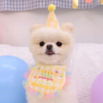 Dog Party Cake Bib Pet Birthday Saliva Towel - Image 2