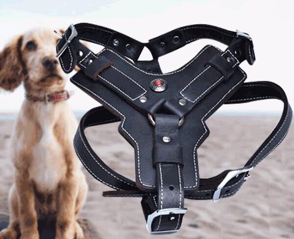 Genuine Leather Dog Harness