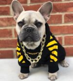 Corgi Schnauzer pet fashion brand three-stripe dog sweater spoof autumn and winter sports dog clothes - Image 7