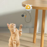 An Interactive Cat Toy That Automatically Moves The Ball Up And Down Without A Hand With Clips To Stimulate The Cat's Hunting Instinct Powered By Non Rechargeable AAA Batteries Durable Plastic Mat No - Image 7