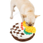 Dog birthday cake sniffing pad - Image 2