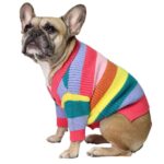Dog Rainbow Striped Cardigan - Image 2
