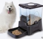 European and American explosion models Large-capacity intelligent pet automatic feeder Smart pet supplies automatic feeder - Image 6