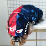 Thick warm sweater pet clothes - Image 4
