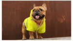 Pet reflective waterproof raincoat - Image 4