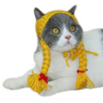 Cat scorpion cap - Image 2