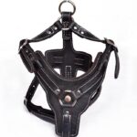 Genuine Leather Dog Harness - Image 4