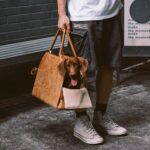 Dog Diaper Bag Portable And Lightweight Pet Car Kennel - Image 3