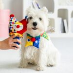 Dog Sound Plush Toy Cartoon Circus Series Molar Long Lasting - Image 4