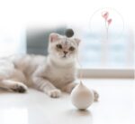 Funny cat electric cat toy - Image 6