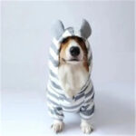 Pet clothing striped sweater - Image 4