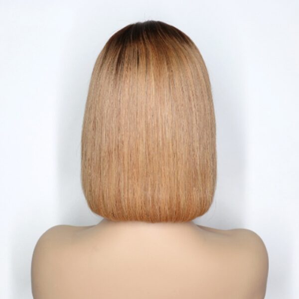 Ombre Colored Short Bob Wig T4B 27 Lace Front Human HairWigs