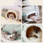 Cat litter for all seasons in autumn and winter - Image 2