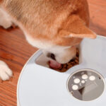 Pet Automatic Round Timing Feeder with 6 Grids Voice Recorder - Image 5