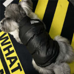 Puppy Warm And Thick Black Down Jacket Sleeveless Vest Jacket - Image 4