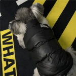 Puppy Warm And Thick Black Down Jacket Sleeveless Vest Jacket - Image 5