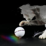 Replaceable Feather-Proof Charging Rolling Automatic Funny Cat Toy Ball