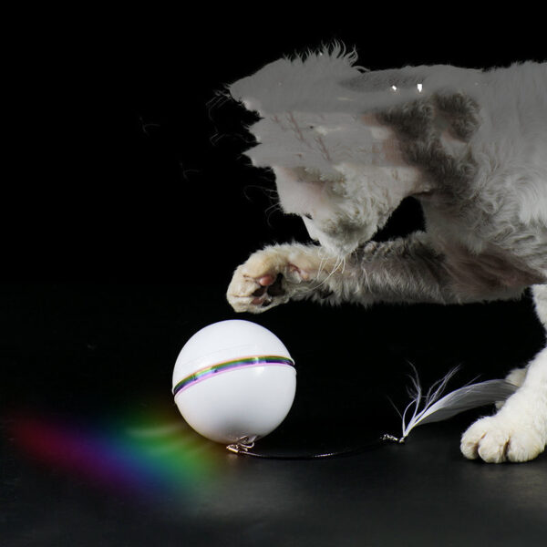 Replaceable Feather-Proof Charging Rolling Automatic Funny Cat Toy Ball