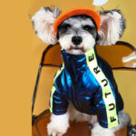 Small And Medium-Sized Dog Teddy Schnauzer Pet Clothes - Image 2