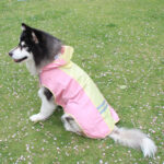 Big Dog Cloak Raincoat With Reflective Strips Husky Pug Pet Raincoat - Image 6