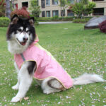 Big Dog Cloak Raincoat With Reflective Strips Husky Pug Pet Raincoat - Image 7