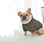 Law Fighting Clothes Dog Cotton Winter Pet Clothes Plus Velvet Thickening - Image 2