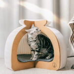 Enclosed Cat House Can Be Used In All Seasons To Keep Warm In Winter - Image 3