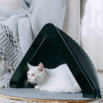 Enclosed Cat House Can Be Used In All Seasons To Keep Warm In Winter - Image 4