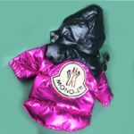 Pet Clothes Star Patent Fur Collar Down Jacket - Image 2